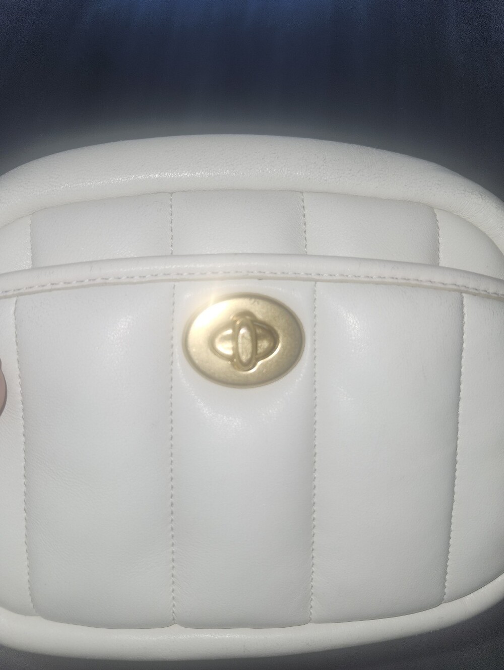 Coach Quilted Camera Bag - Picture 6 of 16